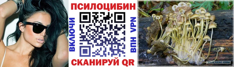Псилоцибиновые грибы Magic Shrooms  мега ссылки  Талдом 